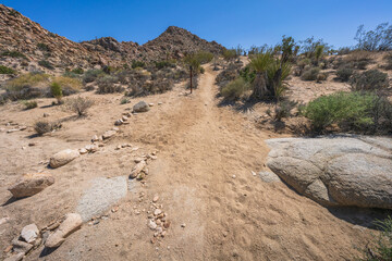 hiking the lost horse mine loop trail in joshua tree national park, california, usa