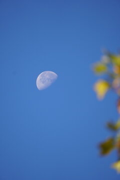 moon and 