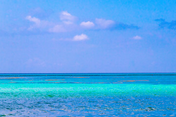 Obraz premium Tropical mexican beach clear turquoise water Playa del Carmen Mexico.