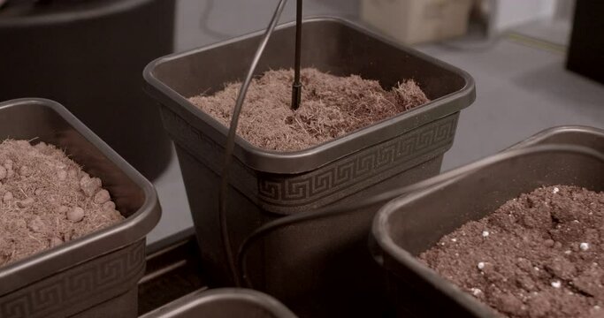 Drainage clay granules serve as a lightweight material with excellent air permeability in plant pots. Various inert mediums are used instead of traditional soil in hydroponic setups.