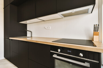 Modern kitchen with induction and black cabinets