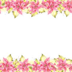 Watercolor painted seamless border, frame of pink yellow Poinsettia, Pulcherrima flowers, leaves, splashes. Plant illustration for Christmas, New Year card invitation package Isolated white background