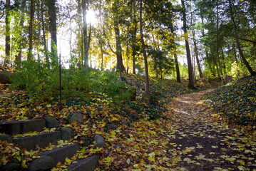 A footpath trail in the public park in autumn