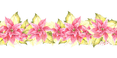 Naklejka premium Watercolor painted seamless border, pattern of pink yellow Poinsettia Pulcherrima flowers and leaves, splashes Plant illustration for Christmas, New Year card, wrapping paper Isolated white background