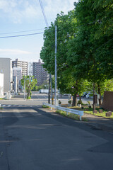 公園の横の交差点