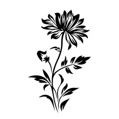 Elegant Aster Flower Vector Illustration