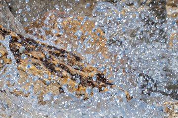 water drops on the rocks