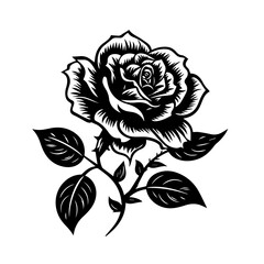 Elegant Rose Flower Vector Illustration