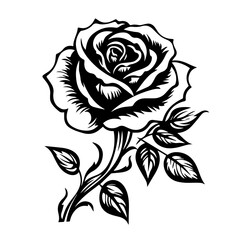 Elegant Rose Flower Vector Illustration