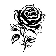 Elegant Rose Flower Vector Illustration