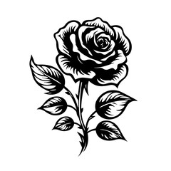 Elegant Rose Flower Vector Illustration