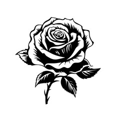 Elegant Rose Flower Vector Illustration