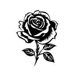 Elegant Rose Flower Vector Illustration