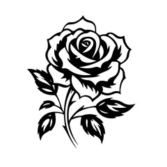 Fototapeta premium Elegant Rose Flower Vector Illustration