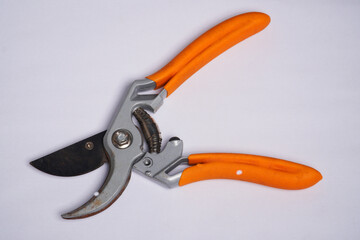 close up of scissors cutter for cutting branches of tree in garden. nature concept.