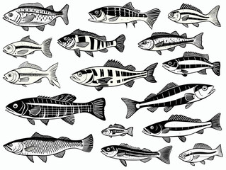 A Collection Of Fish With Different Stripes - Types freshwater fish Silhouettes. - obrazy, fototapety, plakaty