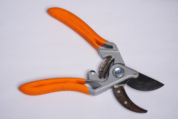 close up of scissors cutter for cutting branches of tree in garden. nature concept.