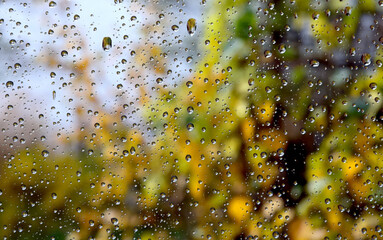 Autumn rain on the glass - 680312588