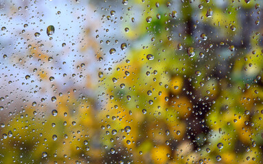 Autumn rain on the glass - 680312596
