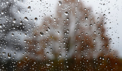 Autumn rain on the glass - 680312769