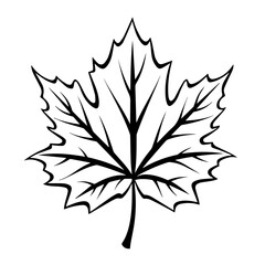 Autumnal Fall Leaf Vector Illustration