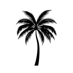 Fototapeta na wymiar Tropical Palm Tree Vector Illustration