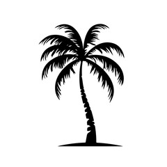 Tropical Palm Tree Vector Illustration