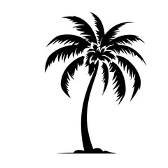 Tropical Palm Tree Vector Illustration