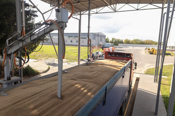 Probe tester. Automatic control system, testing machine at grain elevator terminal. Collect wheat...