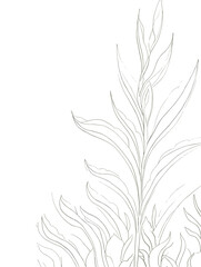 A Drawing Of A Plant - Growing plant