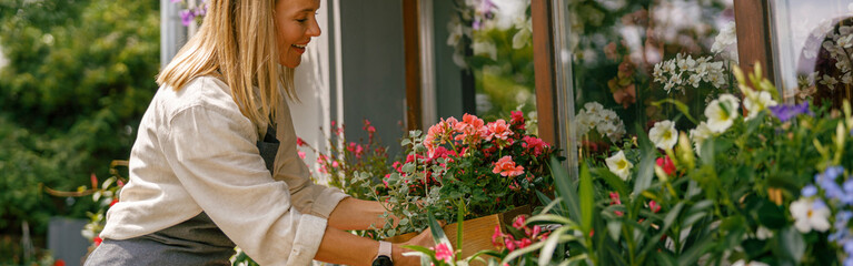 Female florist taking care of houseplant in flower shop. Plant care concept. High quality photo
