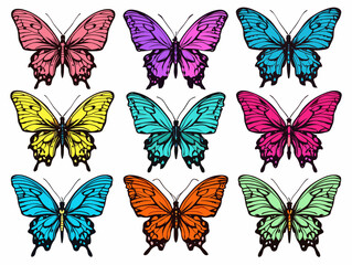 A Group Of Butterflies With Different Colors - Colorful butterfly s set