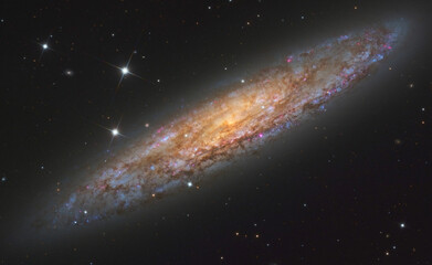 Galaxy NGC 253 Silver Dollar