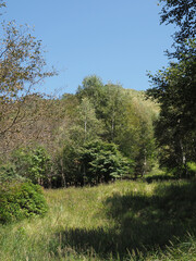 October 2021 after the Ashio Copper Mine Mine Poisoning Incident