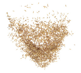 Paddy Rice grain fly in mid air. Yellow Golden Paddy Rice falling scatter, explosion float in shape form line group. White background isolated freeze motion high speed shutter