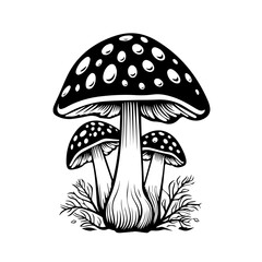  Enchanting Mushroom Forest Vector Illustration