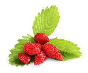 Ripe wild strawberries and green leaves isolated on white