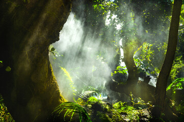The garden is shady, cool and has light shining through the trees