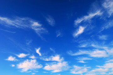 青空に散りばめたような白い雲