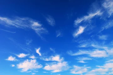 Fotobehang 青空に散りばめたような白い雲 © 写真小僧