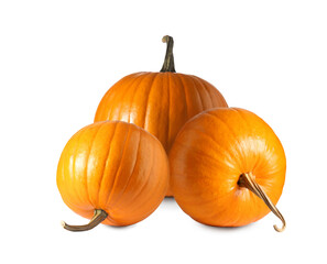 Many fresh orange pumpkins isolated on white