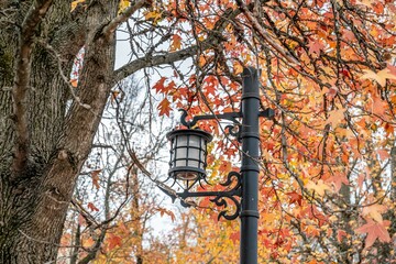 autumn in Asheville NC
