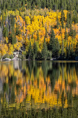 Bear Lake Autumn Mirror