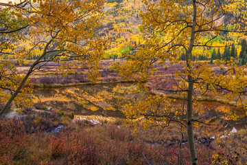 Soft Autumn Light on Ironton Marsh