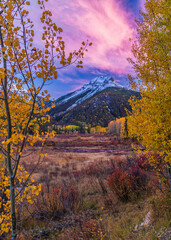 Autumn colored aspens on Brown Mountain reflect in a beaver pond on Ironton Marsh off the Milion Dollar Highway near Ouray, Colorado.