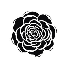 Flower Plant Twig Beautiful Fragrant Blooms Wallpaper Design Abstract Line Art Background Graphic