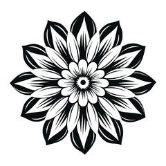 Flower Plant Twig Beautiful Fragrant Blooms Wallpaper Design Abstract Line Art Background Graphic