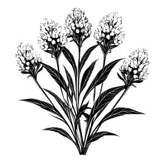 Flower Plant Twig Beautiful Fragrant Blooms Wallpaper Design Abstract Line Art Background Graphic