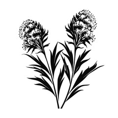 Flower Plant Twig Beautiful Fragrant Blooms Wallpaper Design Abstract Line Art Background Graphic