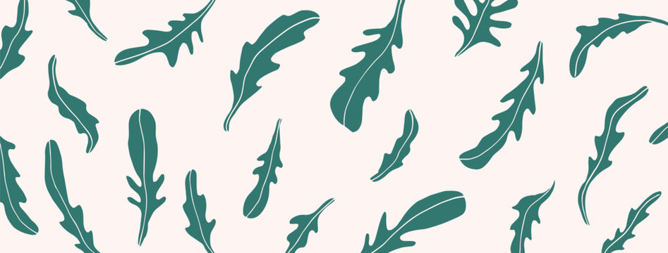 Fresh Arugula Bundle - Vector Illustration with Editable Outlines